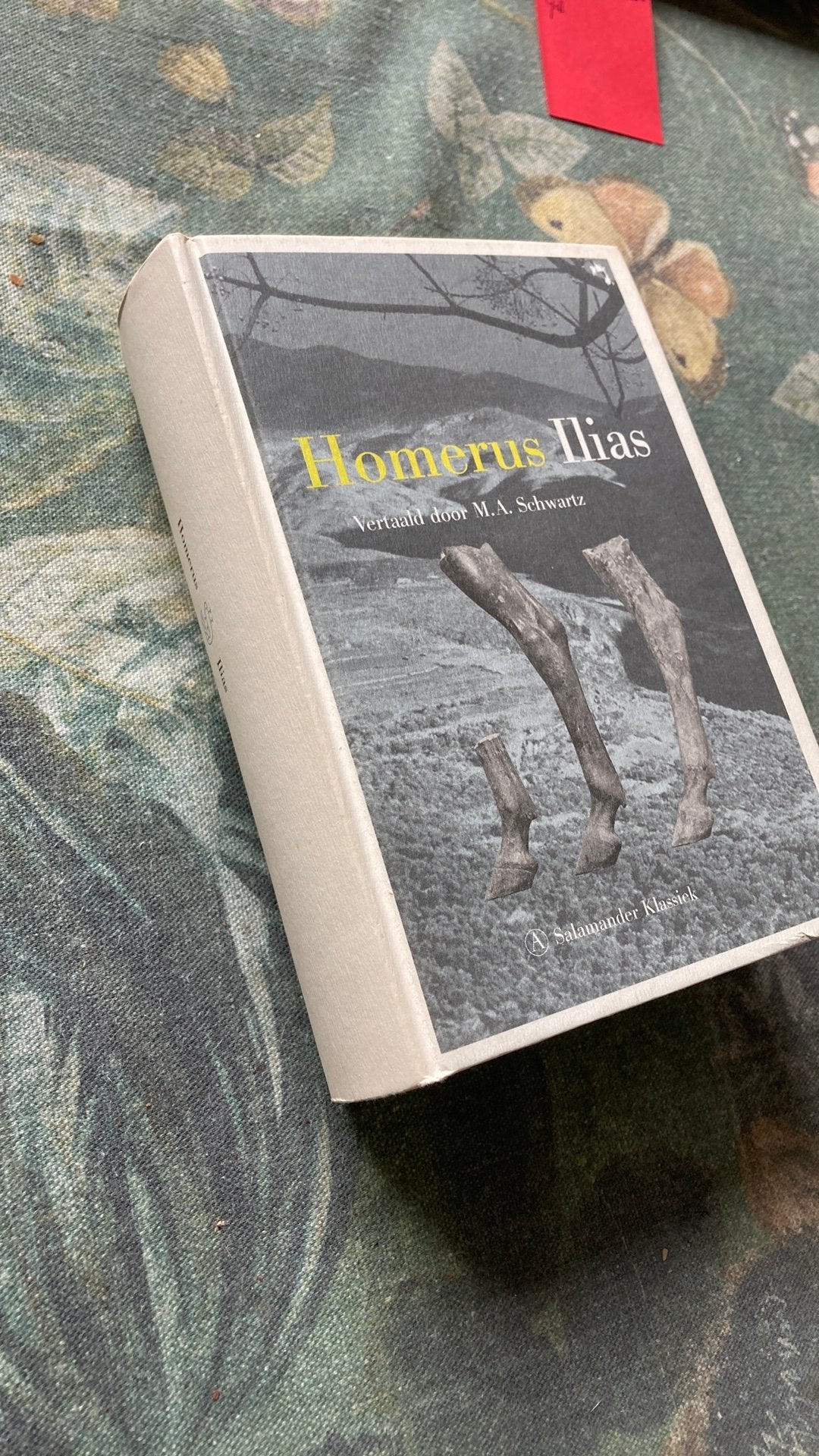 HOMERUS.  ILIAS. -prima proza uitgave 555 blz- KOOPJE, Boeken, Ophalen of Verzenden, Gelezen, Nederland