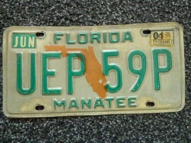 Kentekenplaat licenseplate Florida Manatee USA, Verzenden, Gebruikt, Auto's