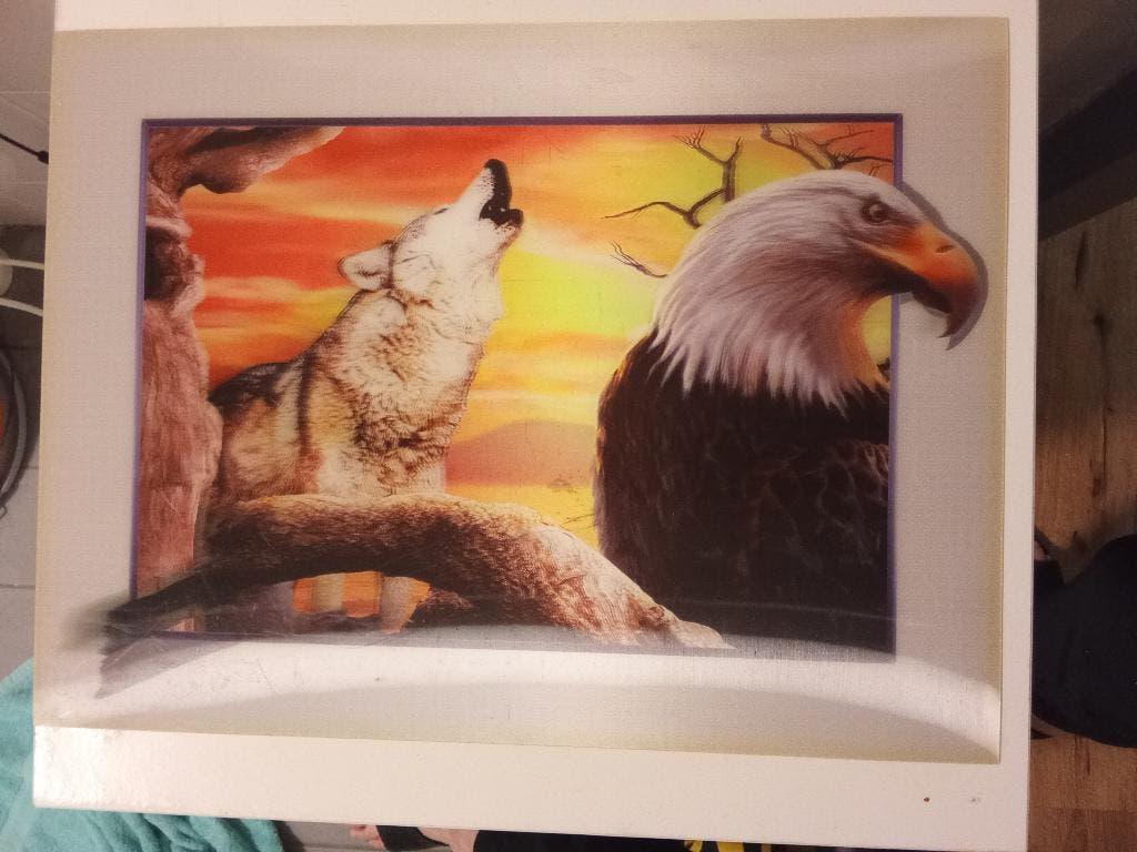 3D huilende wolf, arend bij zonsondergang lenticulair 30x40, Ophalen of Verzenden