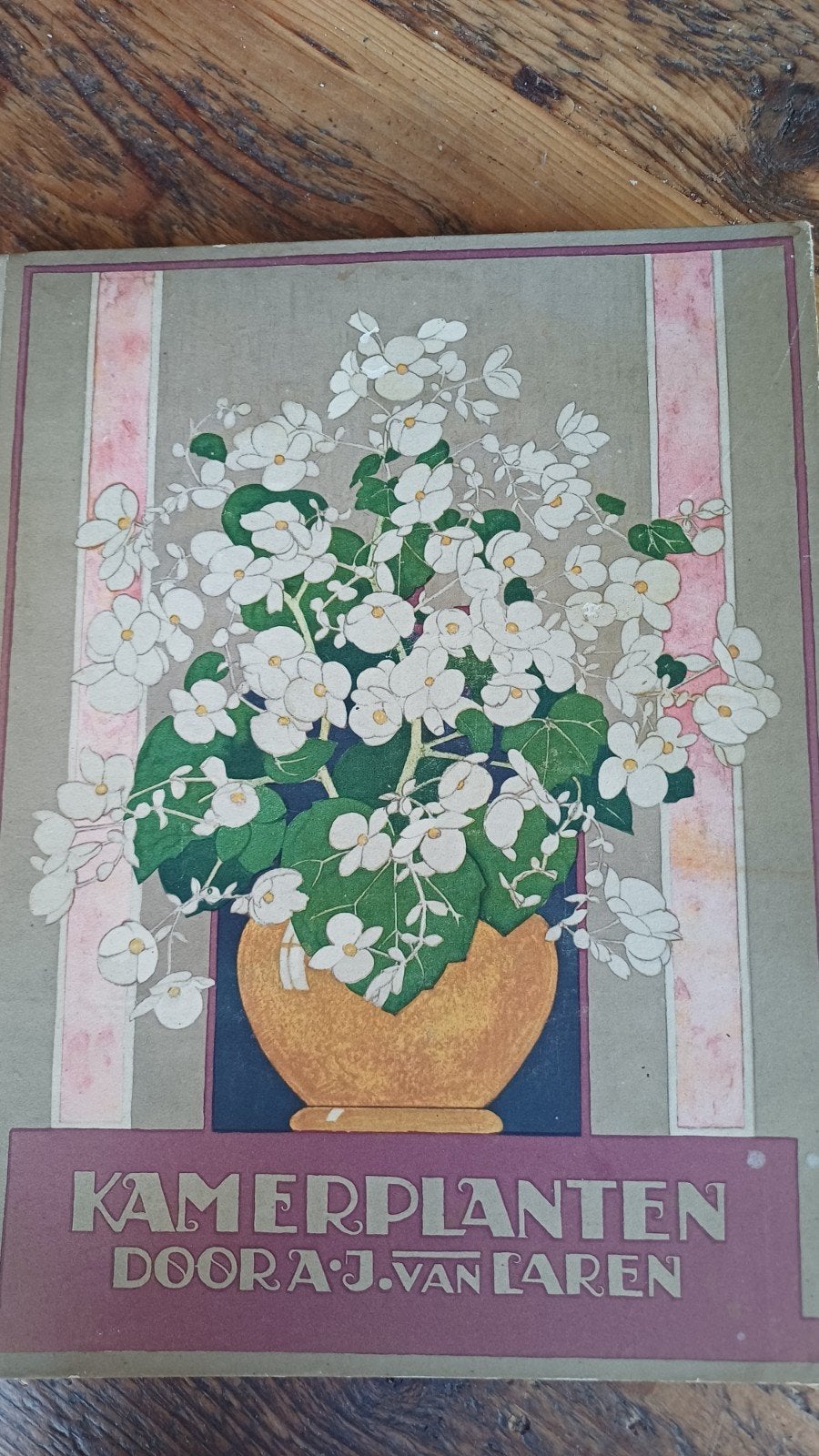 Kamerplanten door A.J. van Laren - Verkade Album 1928, Ophalen, Gelezen, Bloemen, Planten en Bomen, A.J. van Laren