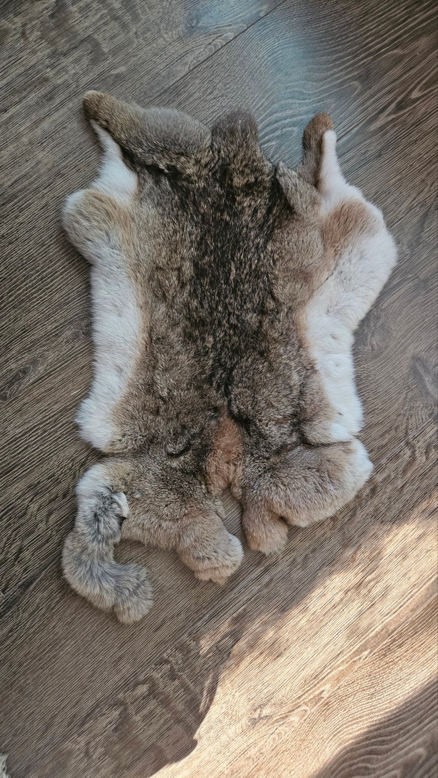 Konijnenvel - Decoratief en Zacht, Gebruikt, 50 tot 100 cm, Bruin, Overige vormen