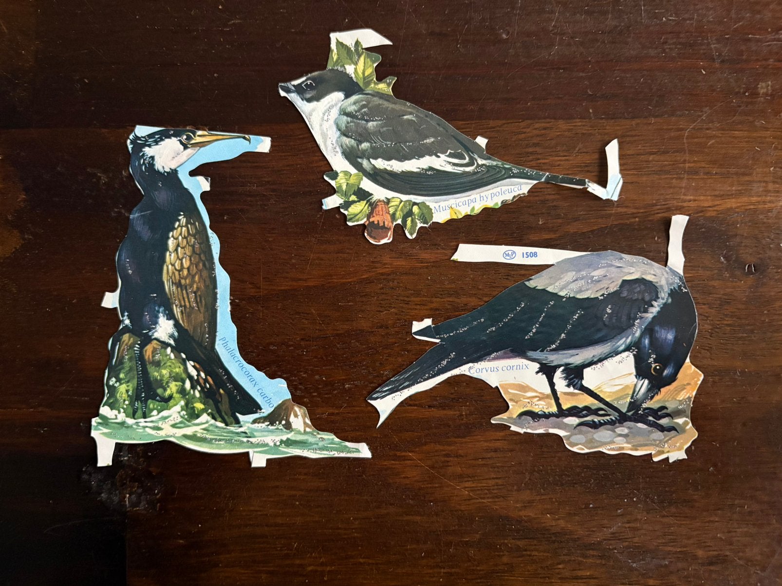 Vintage poesieplaatjes vogels, Ophalen of Verzenden