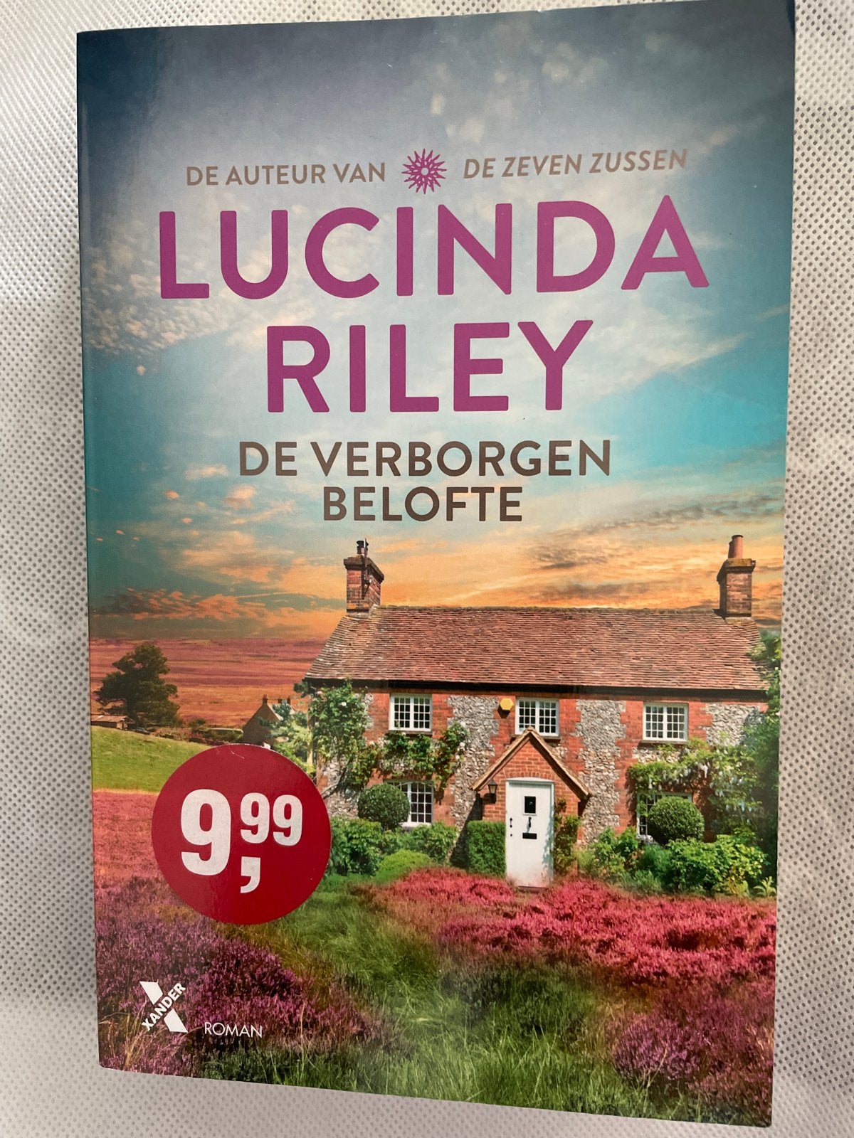 Lucinda Riley - De Verborgen Belofte (Roman), Ophalen of Verzenden, Zo goed als nieuw, Nederland