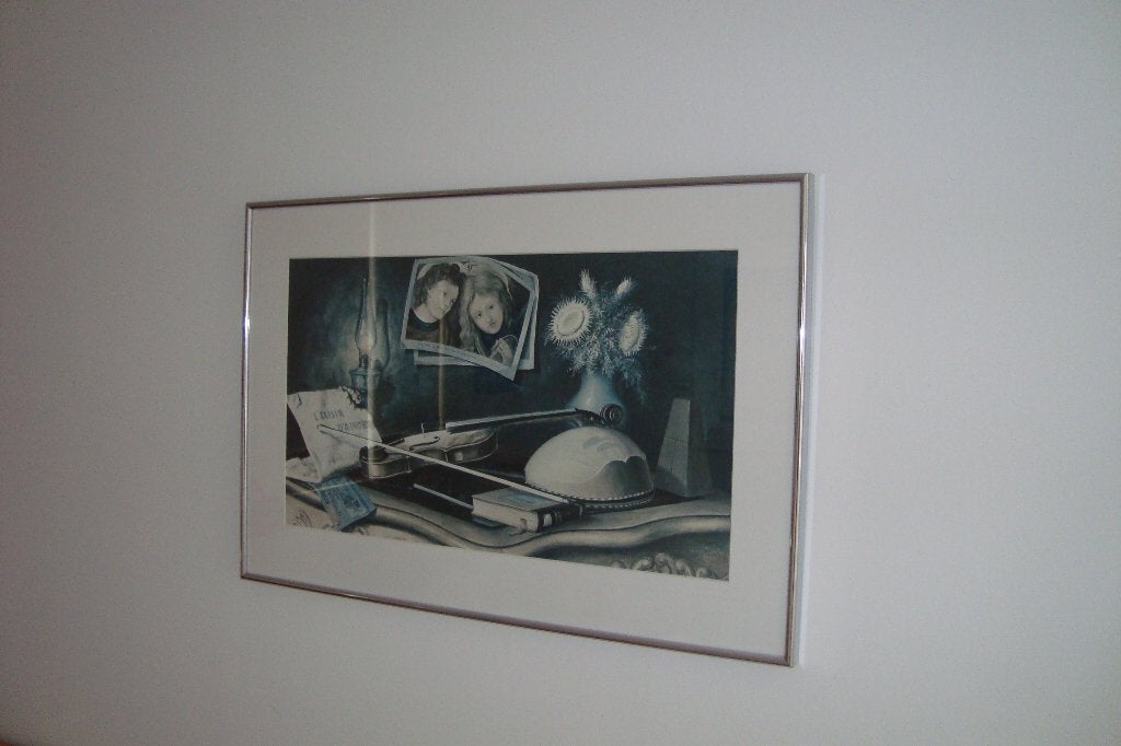 Schilderij Viool 48x71 zie foto's met mooie zware lijst, Ophalen