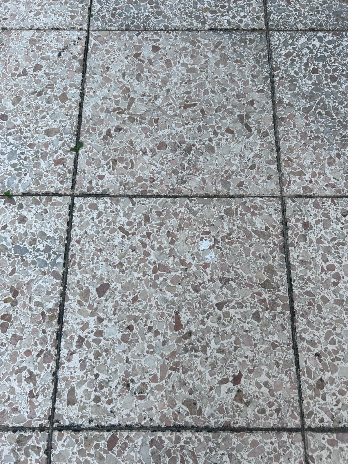Gratis af te halen tuintegels, Ophalen of Verzenden, Gebruikt, Beton, Terrastegels
