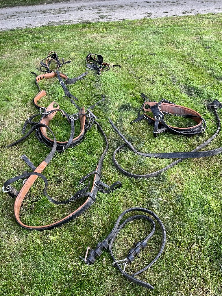 Mentuig 2 span, Dieren en Toebehoren, Ophalen, Gebruikt, Ideal Equestrian, Mentuig
