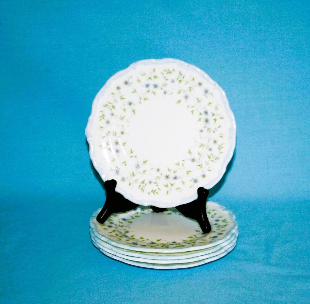 Royal Albert " Caroline " 5 x gebakborden  - NIEUW, Stoke-on-Trent, Engeland, Klassiek, Nieuw, Ophalen of Verzenden