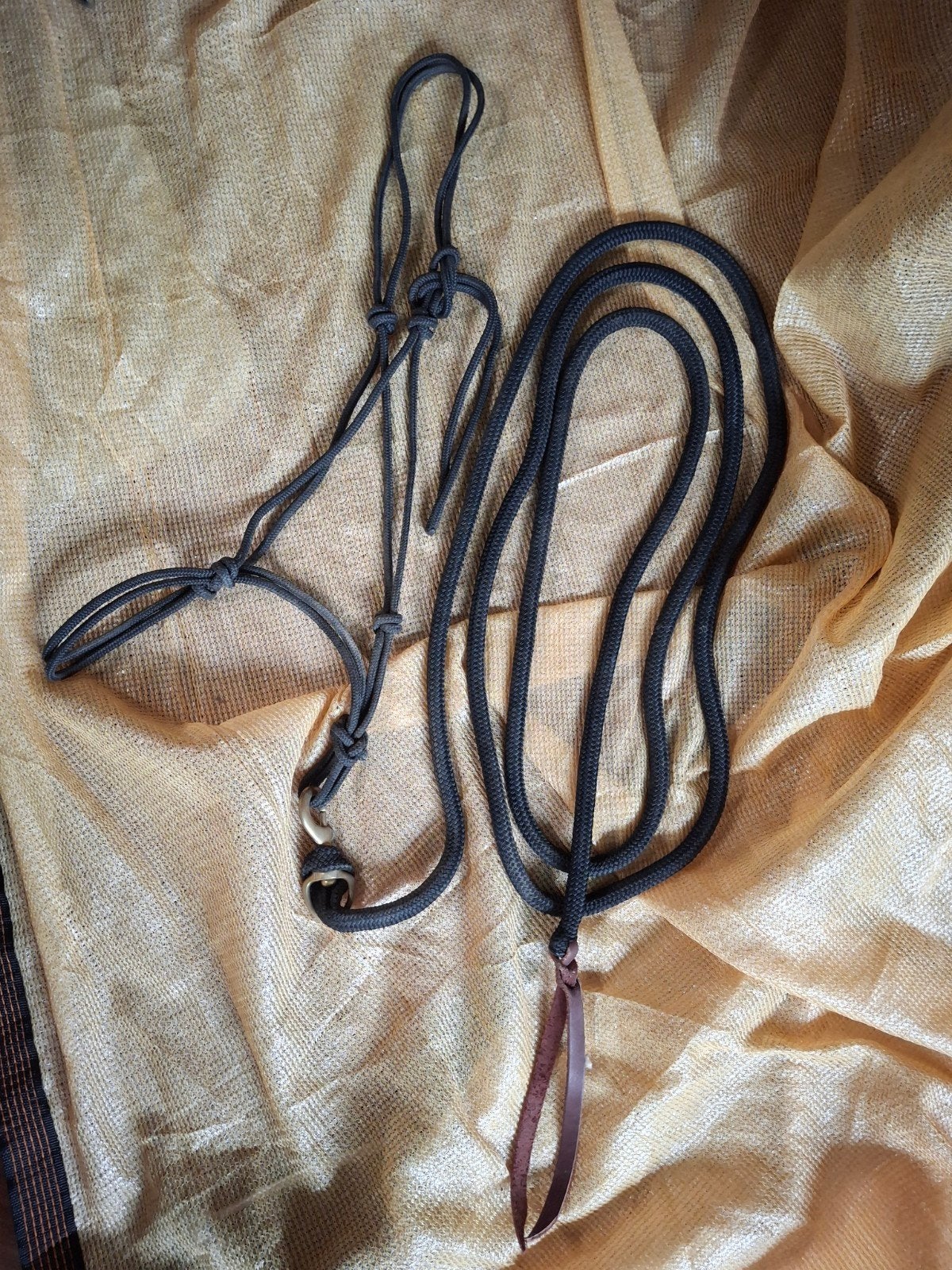 Touwhalster met leadrope, Ophalen