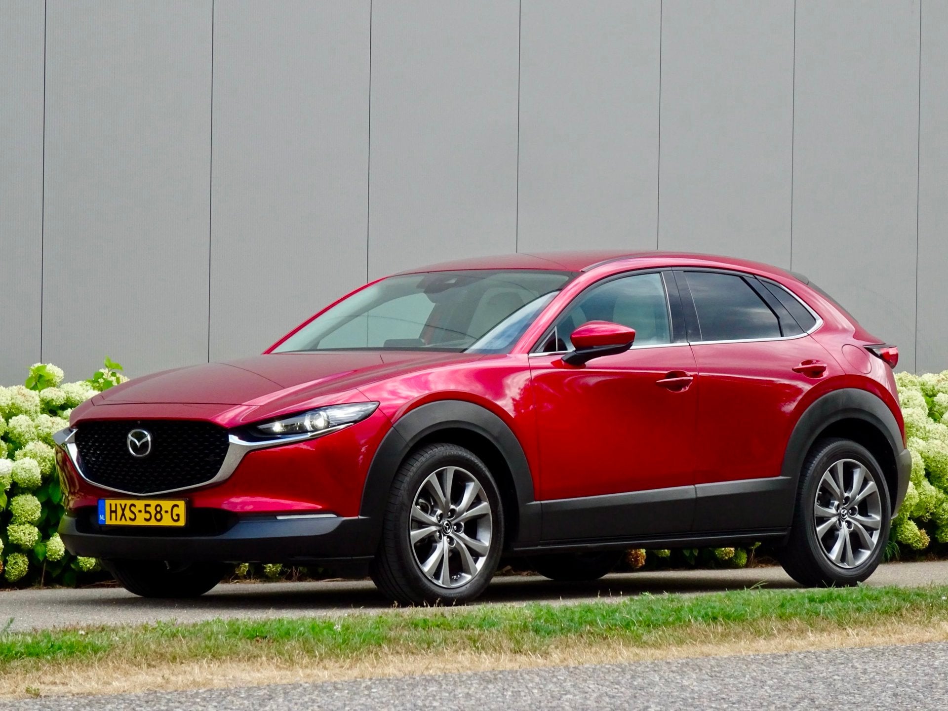 Foto 21 van Mazda CX-30 2.0 AWD e-SkyActiv-X M Hybrid Luxury | 4WD |