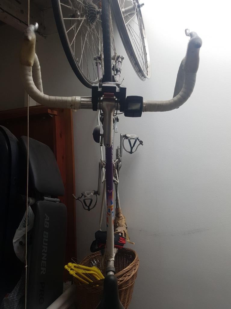 Vintage Giant Peloton Lite Elite racefiets, Ophalen, Gebruikt, Giant, 10 tot 15 versnellingen
