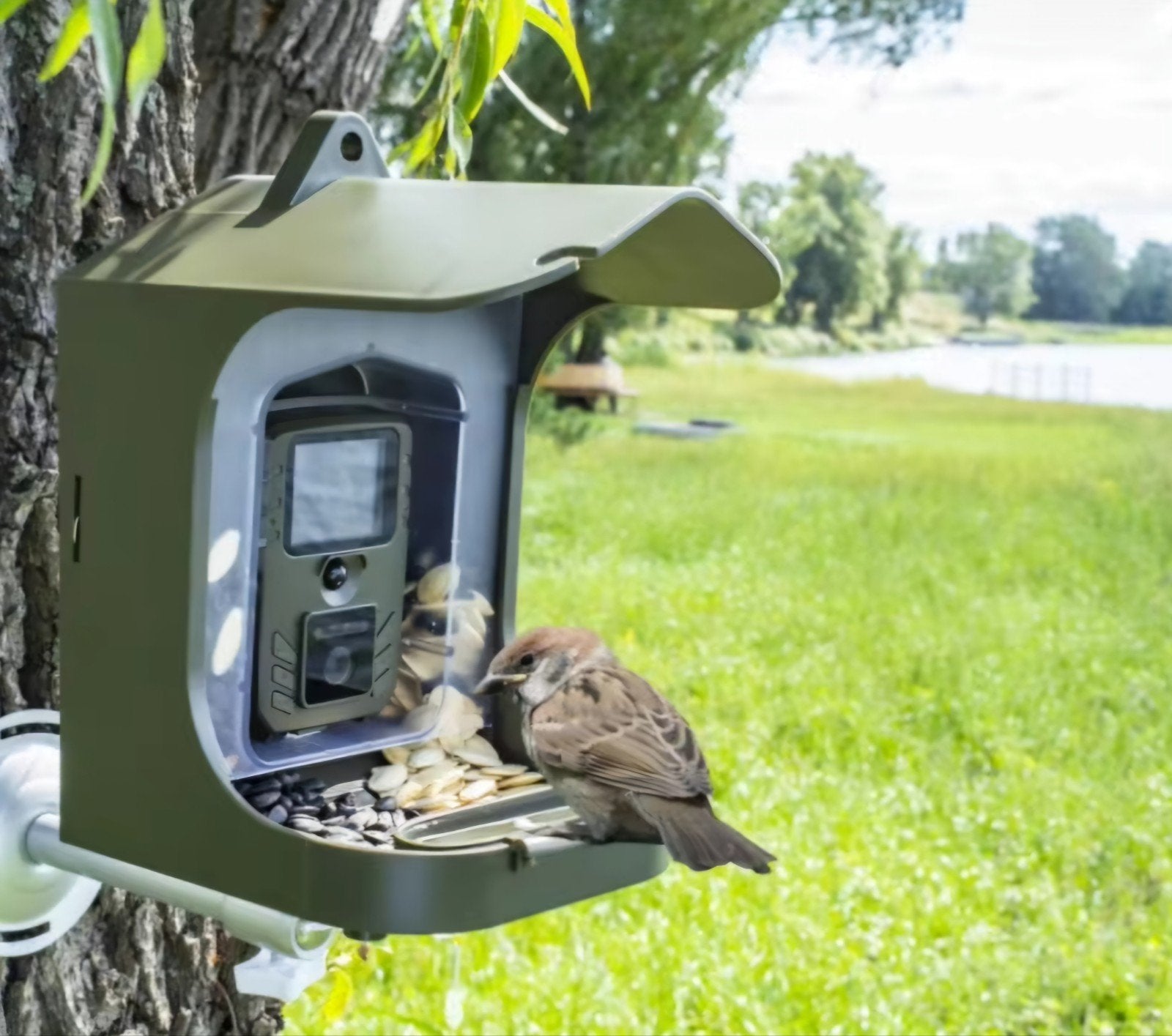 Beveiligingscamera Vogelvoerstation Wildlife Camera Nieuw, Ophalen of Verzenden, Nieuw