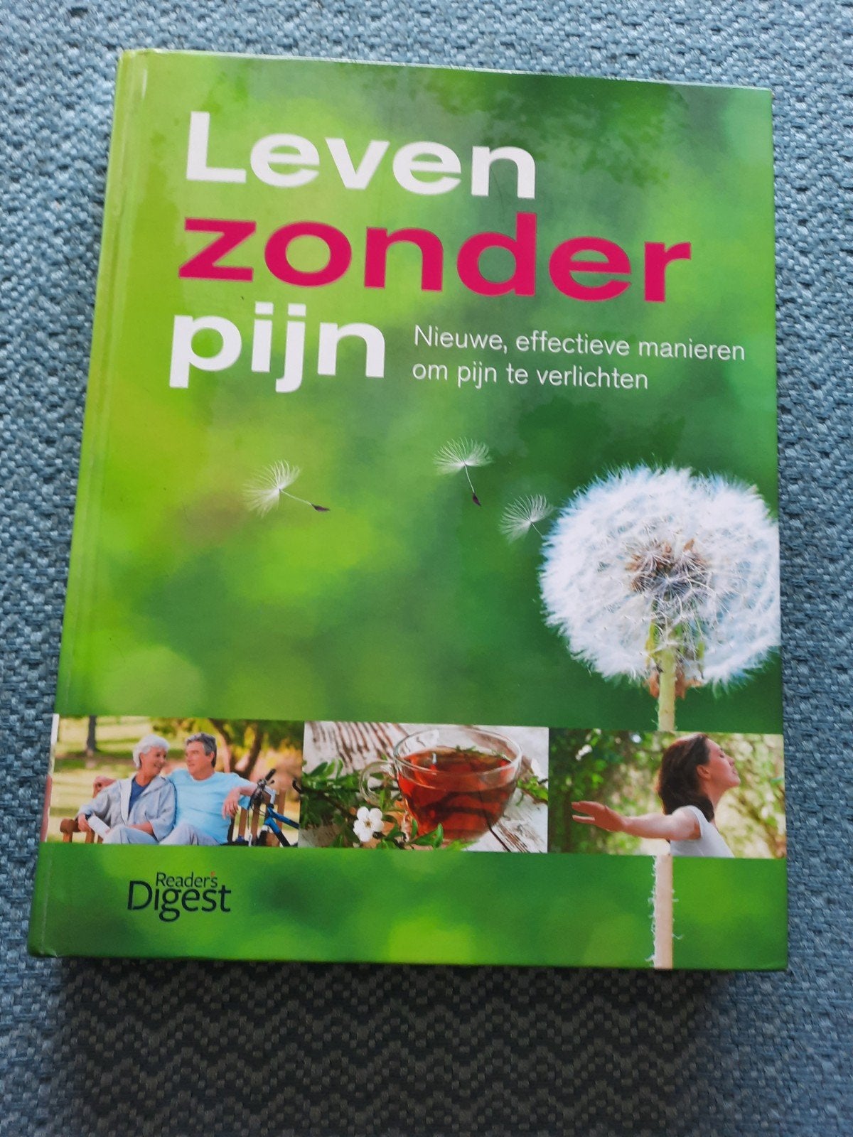 Leven zonder pijn - Nieuwe, effectieve manieren om pijn te v, Dorothy Foltz-Gray, Ophalen of Verzenden, Zo goed als nieuw, Gezondheid en Conditie