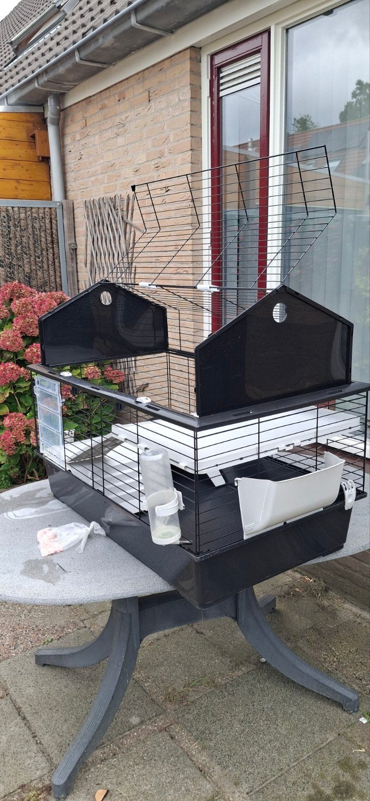 cavia kooi, Minder dan 60 cm, Kooi, Ophalen of Verzenden, 75 tot 110 cm