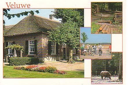 Ansichtkaart 	Veluwe	4-luik, Verzenden, 1940 tot 1960, Gelopen, Gelderland