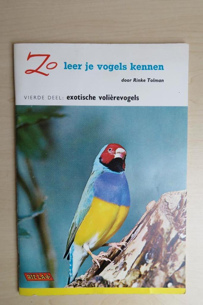 Vintage Rizzla plaatjesboek: Zo leer je vogels kennen., Boeken, Ophalen of Verzenden, Zo goed als nieuw, Rinke Tolman, Plaatjesalbum
