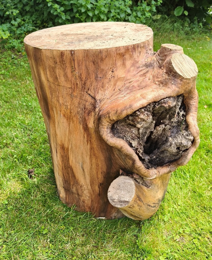 Boomstam eiken hout 46 cm dik, 65 cm hoog, tafel, kruk, deco, Ophalen, Gebruikt, Ovaal, Hout