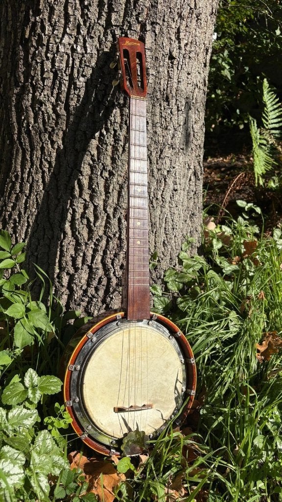Banjo, Ophalen of Verzenden, Gebruikt, Tenorbanjo