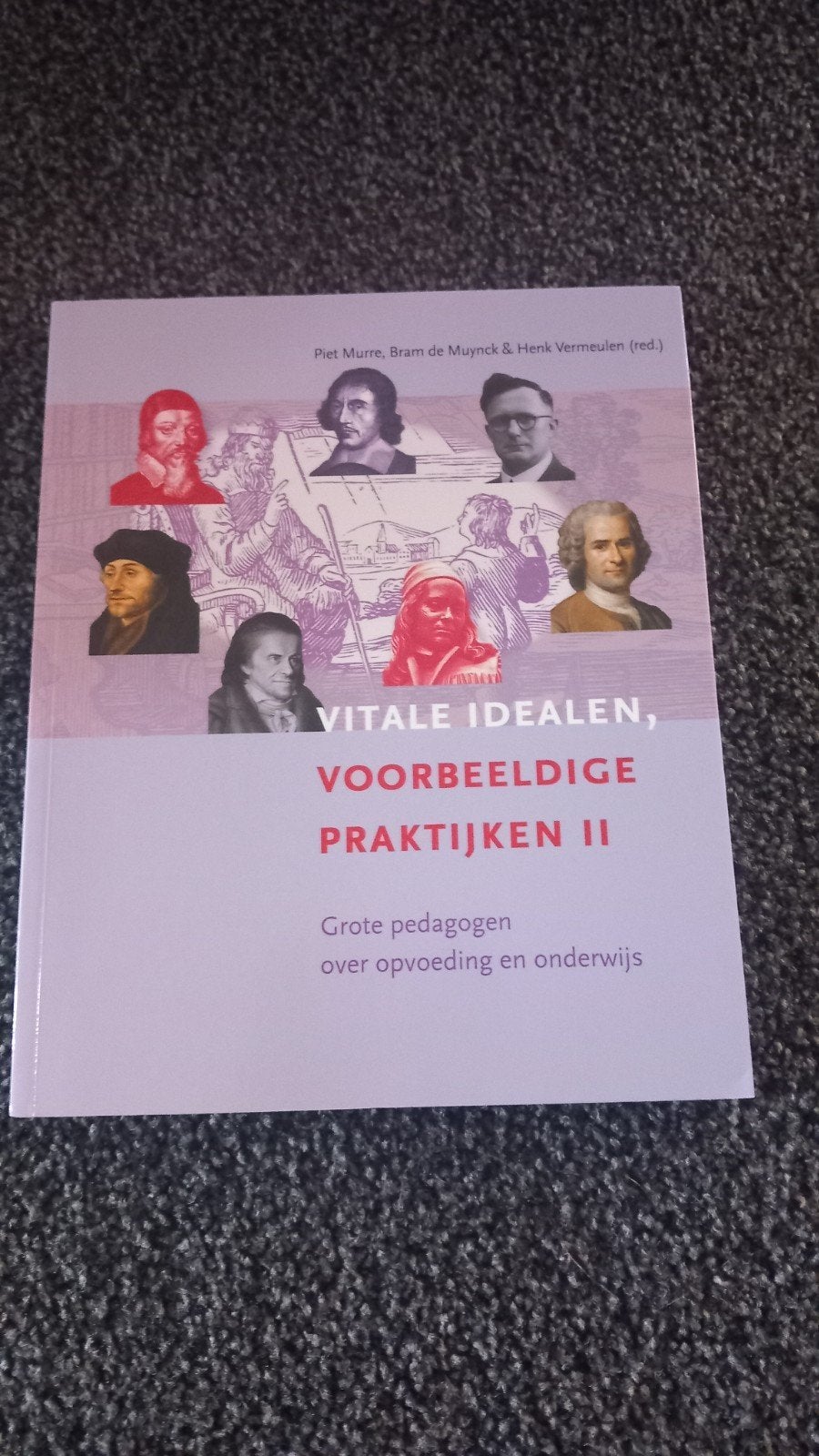 Vitale idealen, voorbeeldige praktijken II, Ophalen of Verzenden, Zo goed als nieuw, Sociale wetenschap