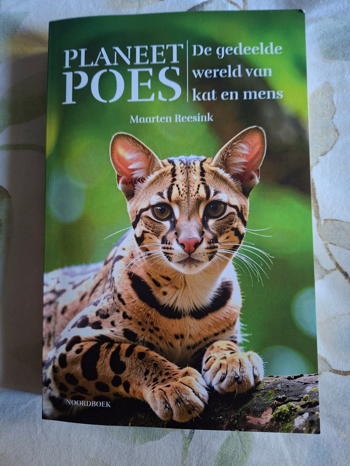 Maarten Reesink - Planeet Poes, Boeken, Dieren en Huisdieren, Zo goed als nieuw, Katten, Ophalen of Verzenden
