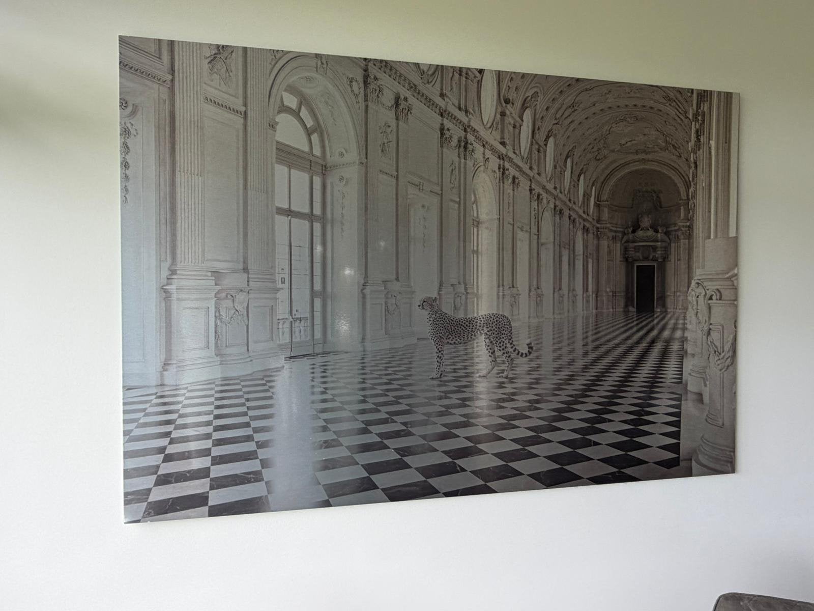 Schilderij panter in kerkgebouw grijs zwart wit 180x120, Ophalen, 100 tot 150 cm, 150 tot 200 cm, Zo goed als nieuw