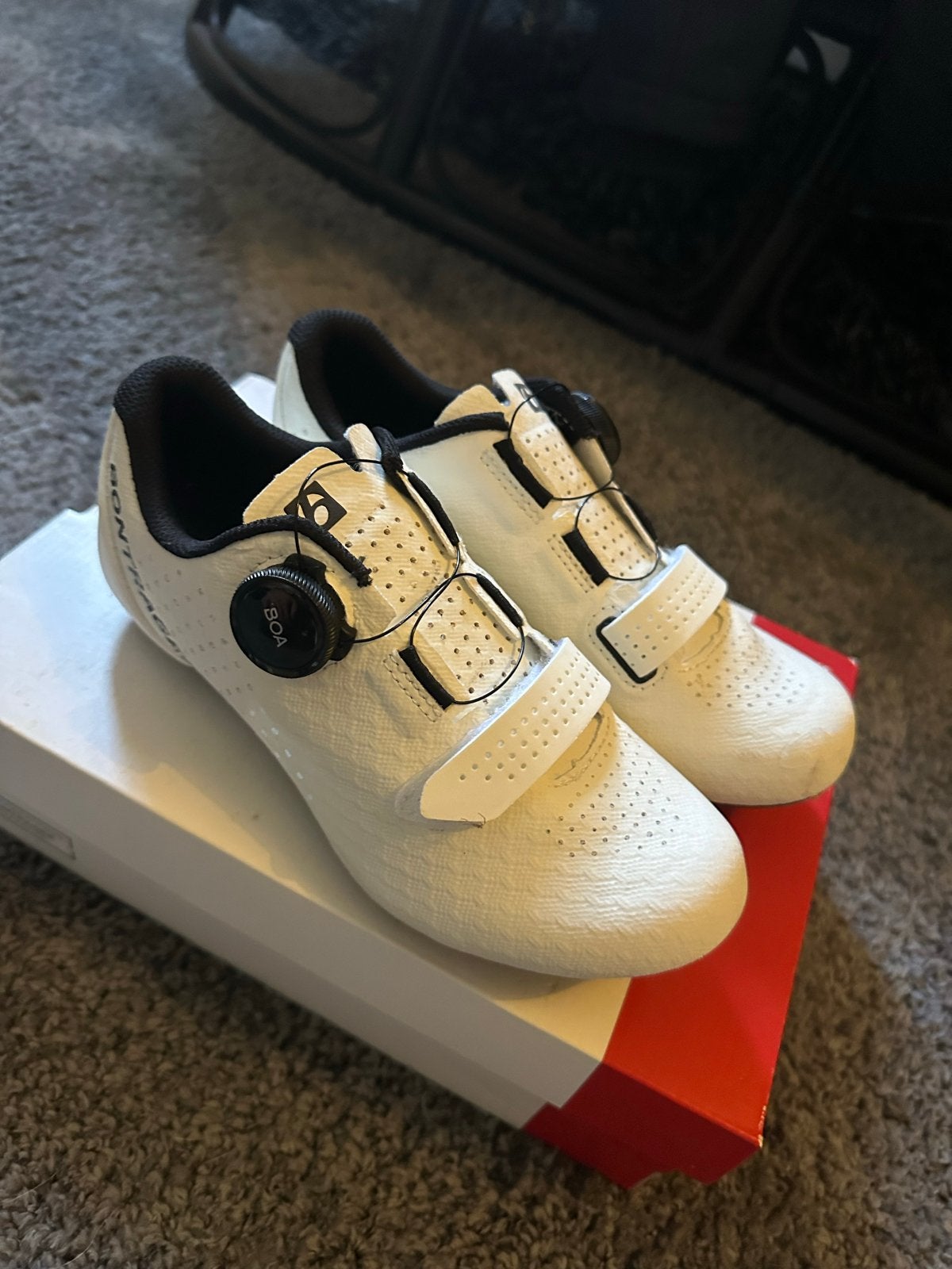 Bontrager Circuit racefiets schoenen - Maat 36, Schoenen, Nieuw, Overige maten, Ophalen of Verzenden