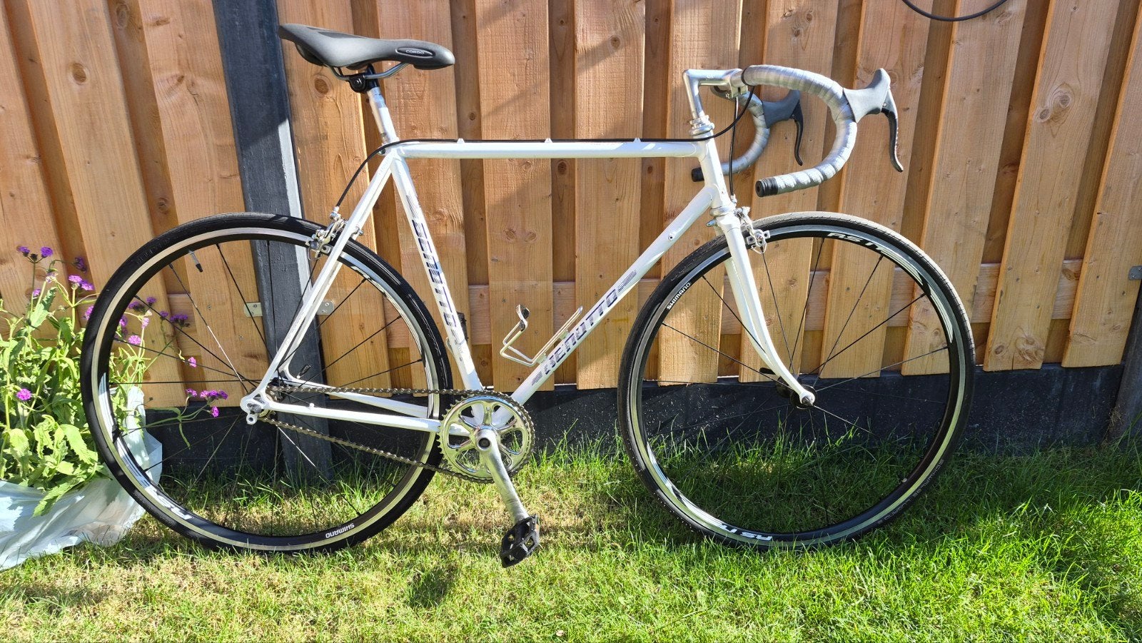 Benotto Single Speed Racefiets - Klassiek met Moderne Wielen, Fietsen en Brommers, Gebruikt, Staal, 53 tot 57 cm, Ophalen