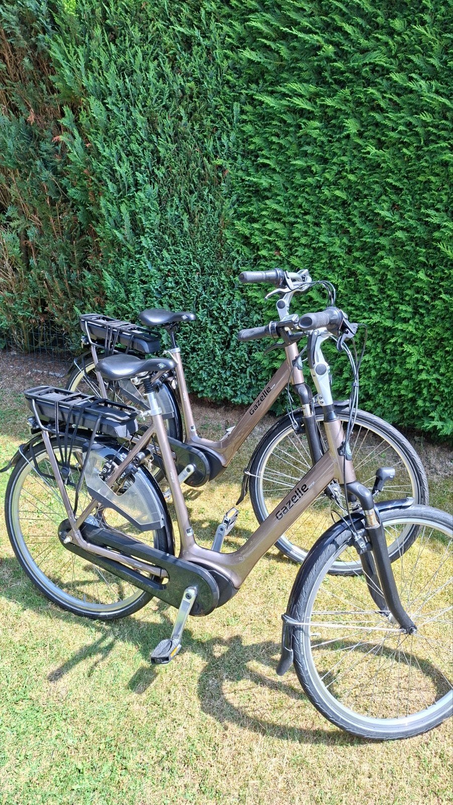 2 mooie Gazelle Orange C7+ elektrische fietsen, 61 en 53 cm, 59 cm of meer, Ophalen, 50 km per accu of meer, Gazelle