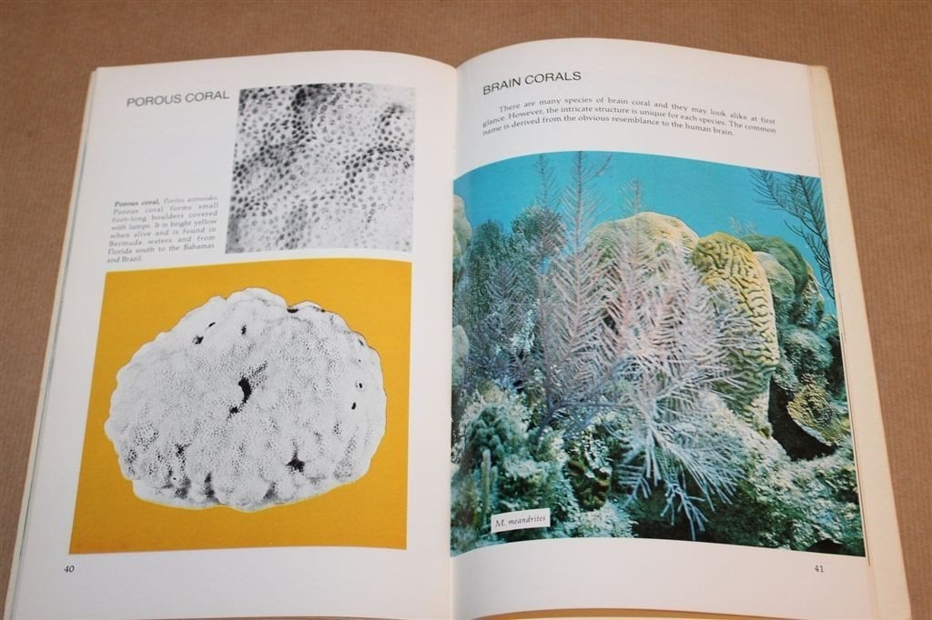The Coral Book — Koralen Verzamelen en Determineren, Ophalen of Verzenden, Gelezen, Overige onderwerpen