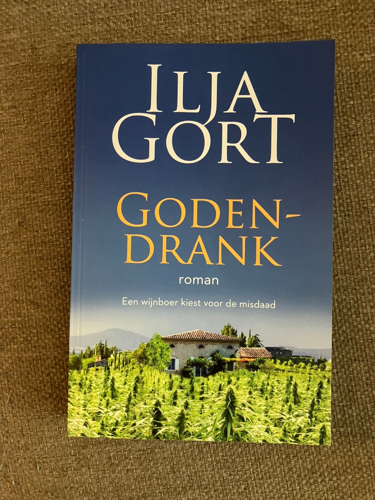 Ilja Gort - Godendrank, Ophalen of Verzenden, Zo goed als nieuw, Ilja Gort