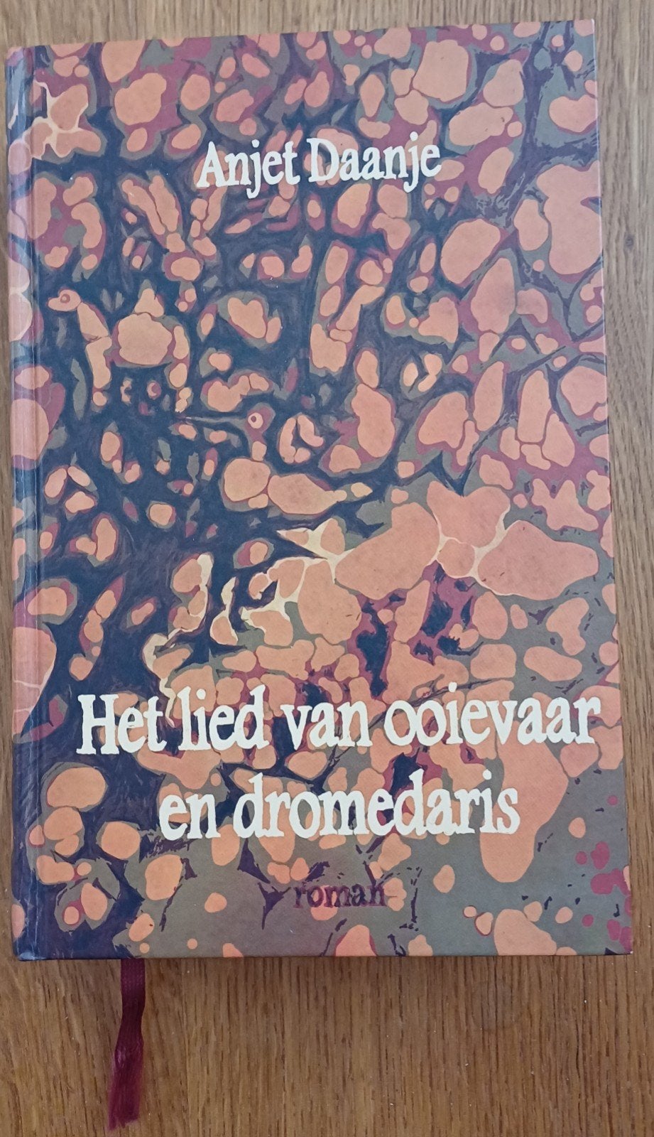 Anjet Daanje - Het lied van ooievaar en dromedaris, Ophalen of Verzenden, Zo goed als nieuw, Anjet Daanje, Nederland