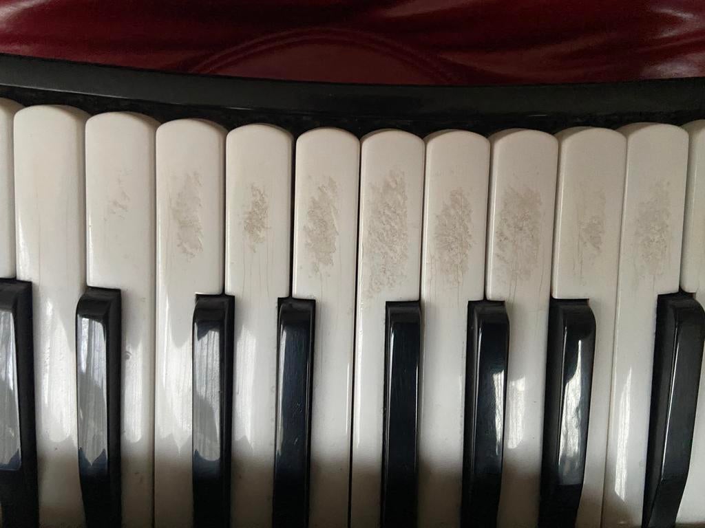 Charron Frères, Muziek en Instrumenten, Accordeons, Overige merken, Gebruikt, Met riemen, 120-bas