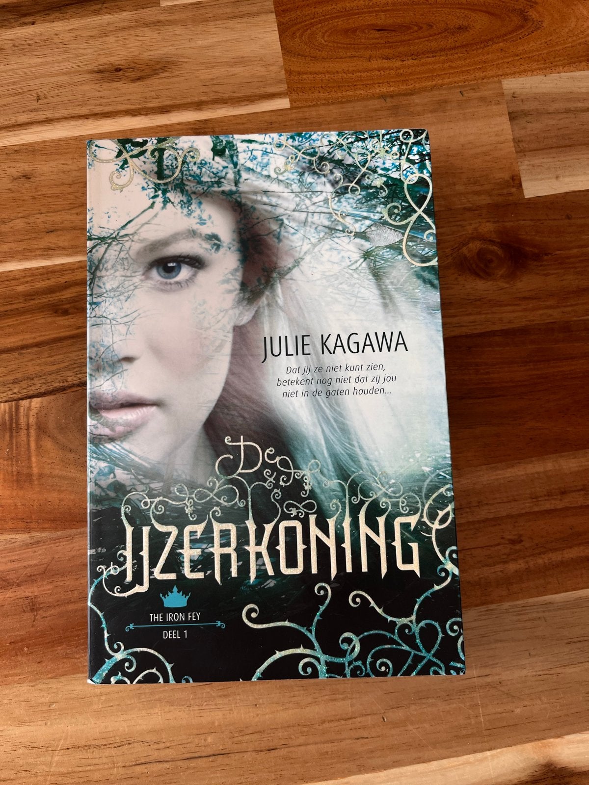 De IJzerkoning - Julie Kagawa (The Iron Fey Deel 1), Boeken, Fantasy, Gelezen, Ophalen of Verzenden