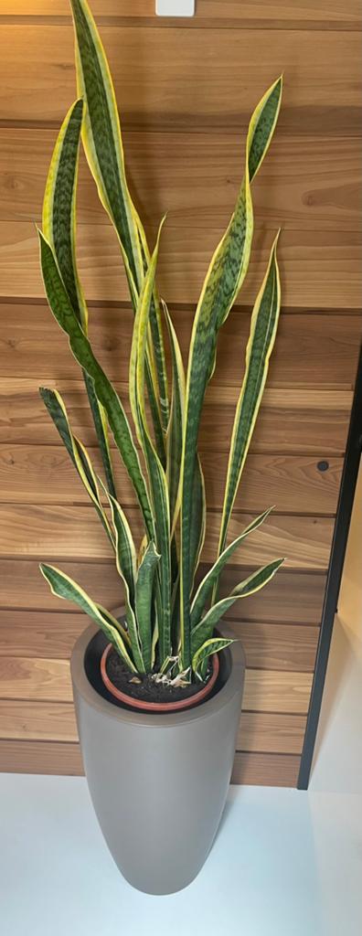 Elho bloempot taupe, 25 tot 40 cm, Kunststof, Gebruikt, Rond