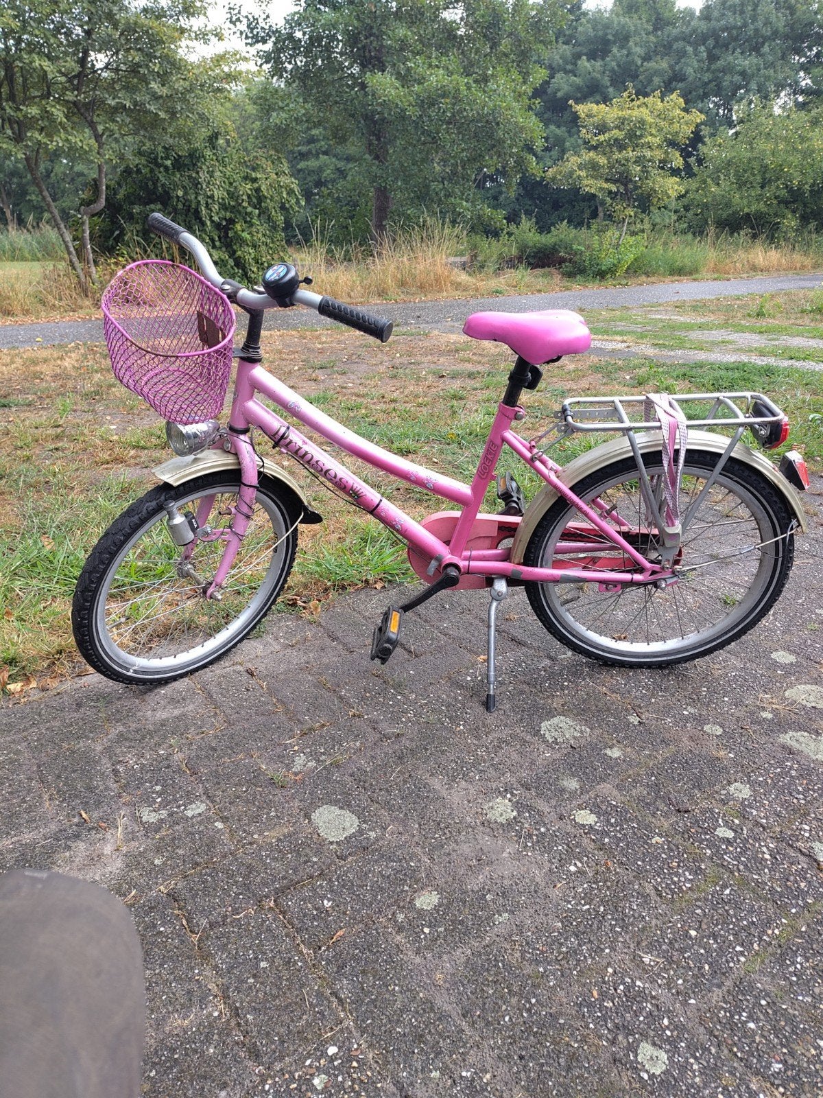 Loekie prinses 20inch meisjes fiets, Ophalen, Gebruikt, Terugtraprem, 20 inch