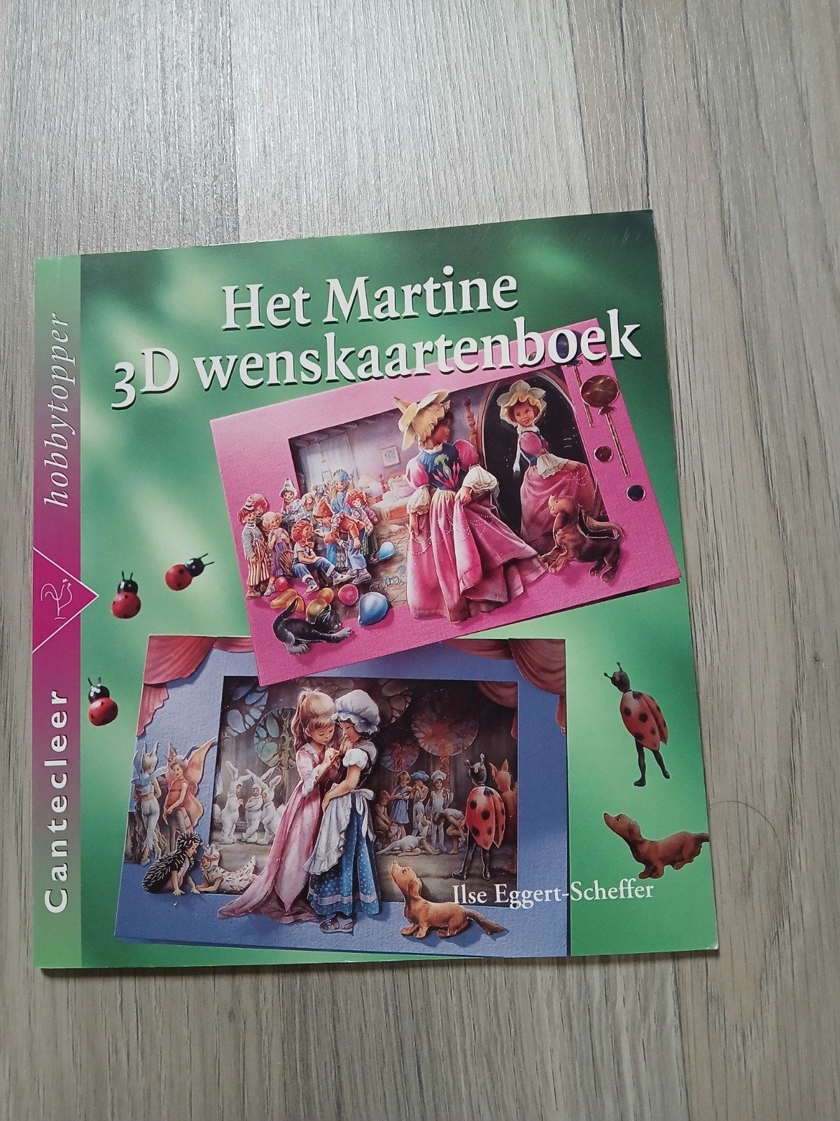het Martine 3D wenskaartenboek met bijpassende knipvellen., Ophalen of Verzenden, Nieuw, Overige onderwerpen