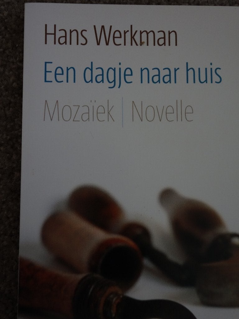 Hans Werkman, Een dagje naar huis., Ophalen of Verzenden, Gelezen