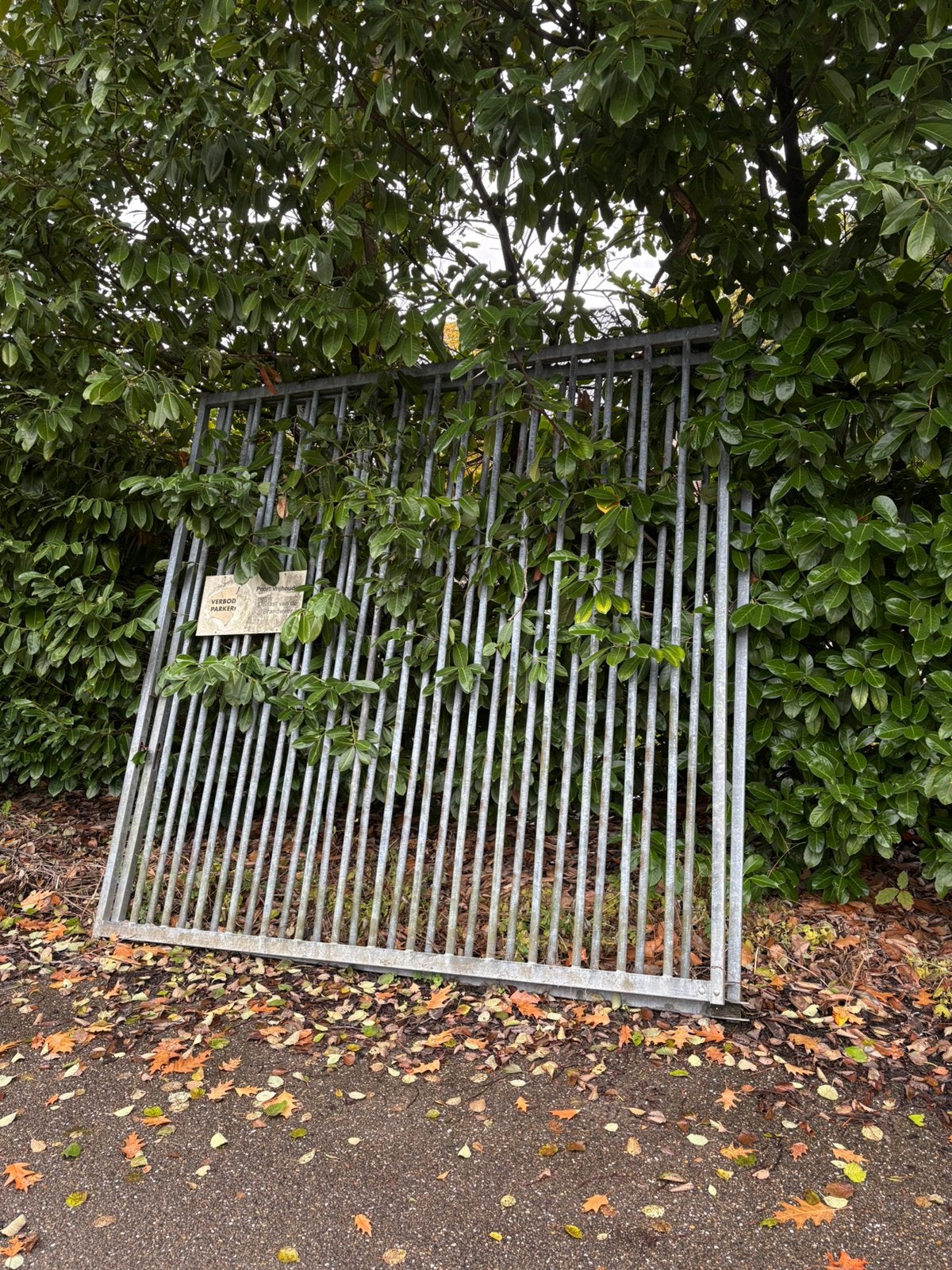 Te koop, gegalvaniseerde toegangspoort, Ophalen, Gebruikt, IJzer, Spijlenhekwerk