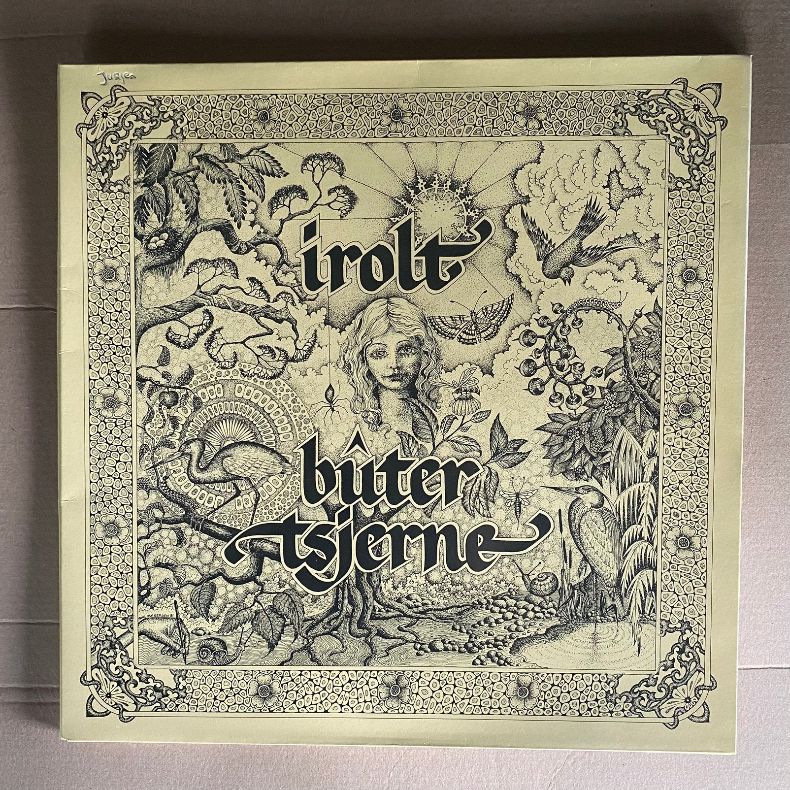 Lp - butertsjerne - irolt ( friese folk), Ophalen of Verzenden, Folk, LP