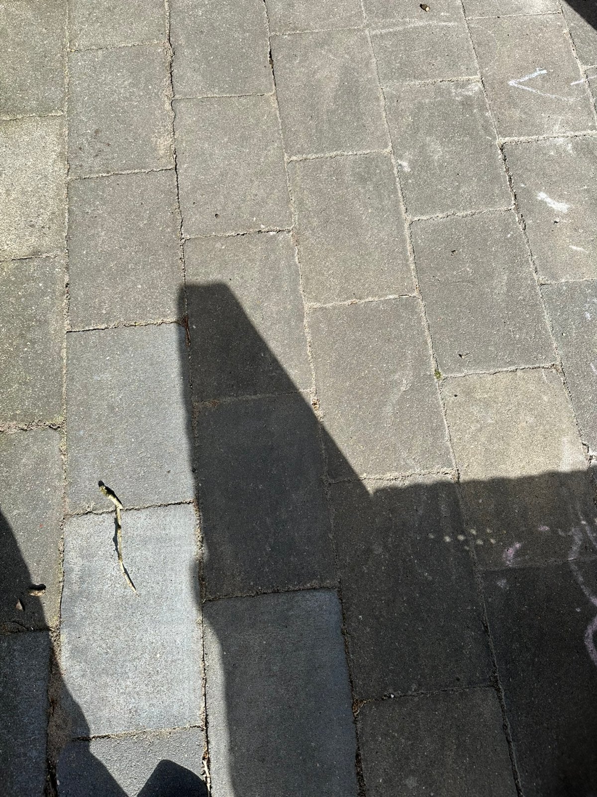 Foto 4 van GRATIS betontegels antraciet 30x20x6 ±60 m² ook deelpartijen