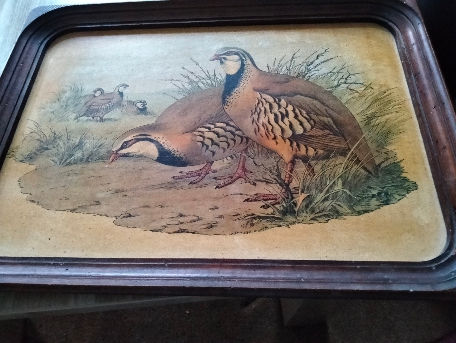 Vintage dienblad/schilderij met patrijzen afb ca.50 jaar oud, Ophalen of Verzenden
