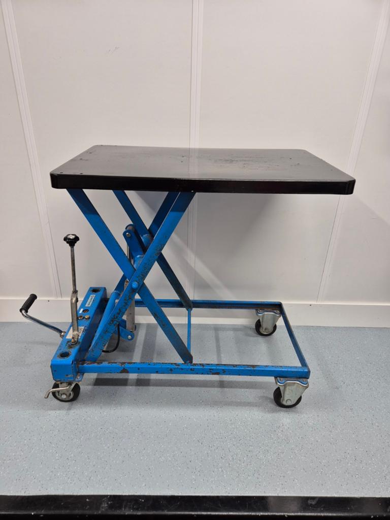 Heftafel Overtoom motorlift - 250kg., Ophalen, Gebruikt