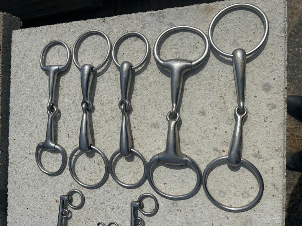 Bitten te koop, Dieren en Toebehoren, Verzenden, Gebruikt, Overige soorten