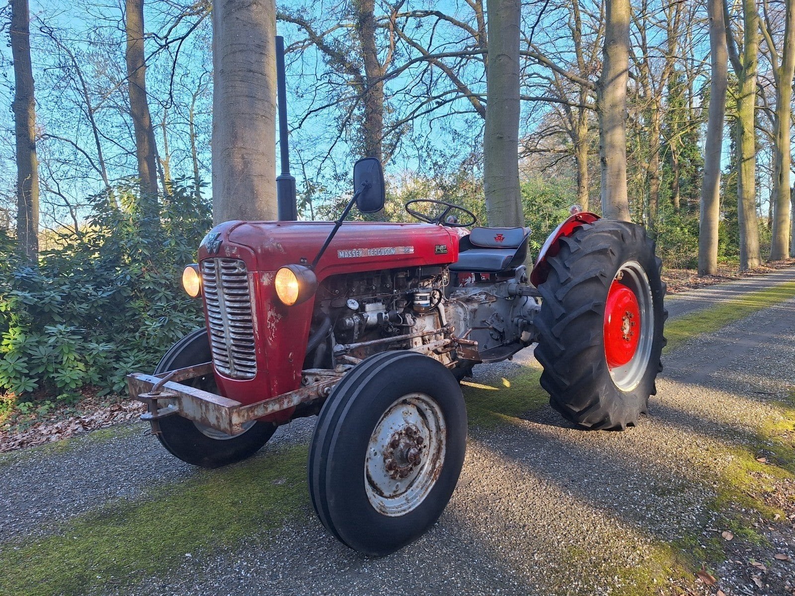 MF Massey Ferguson 35 tractor trekker goudbuik, Ophalen, Oldtimer, Tot 80 Pk, Massey Ferguson