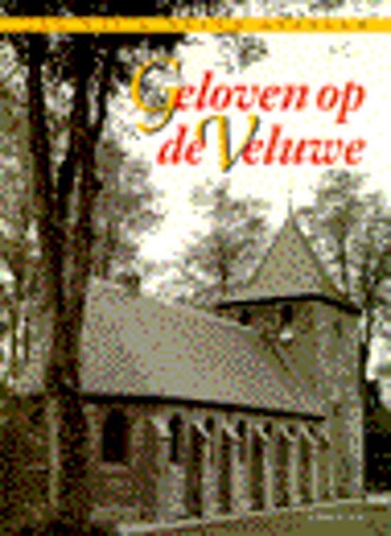 Geloven op de Veluwe, Boeken, Geschiedenis | Stad en Regio, Zo goed als nieuw, 20e eeuw of later, Ophalen of Verzenden
