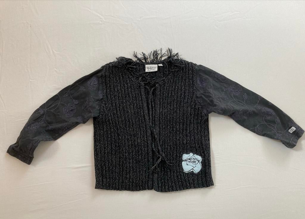 Barbara Farber vestje maat 116 met borduursels, Ophalen of Verzenden, Gebruikt, Meisje, Trui of Vest
