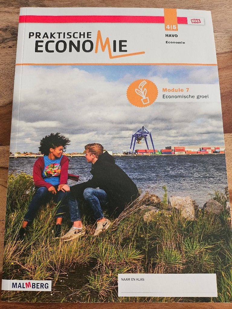 Praktische economie boek havo 4/5, Ophalen of Verzenden, Beta, Nieuw, HBO