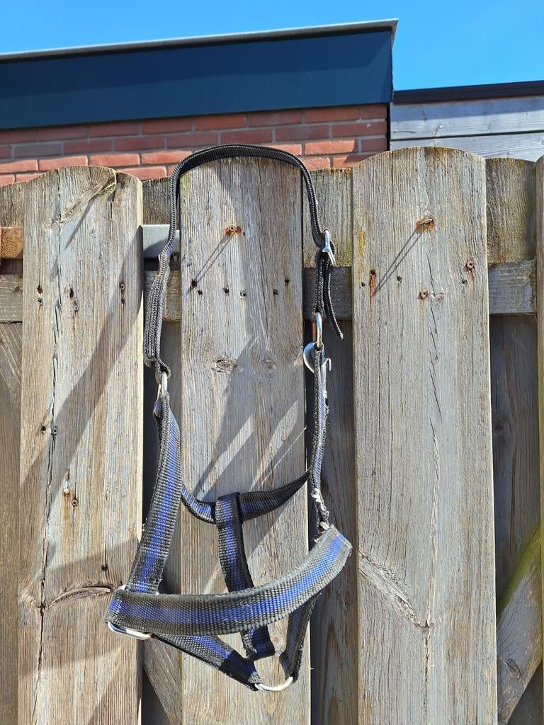Weide halster met klittenband (veiligheid) pony, Dieren en Toebehoren, Ophalen of Verzenden, Overige soorten
