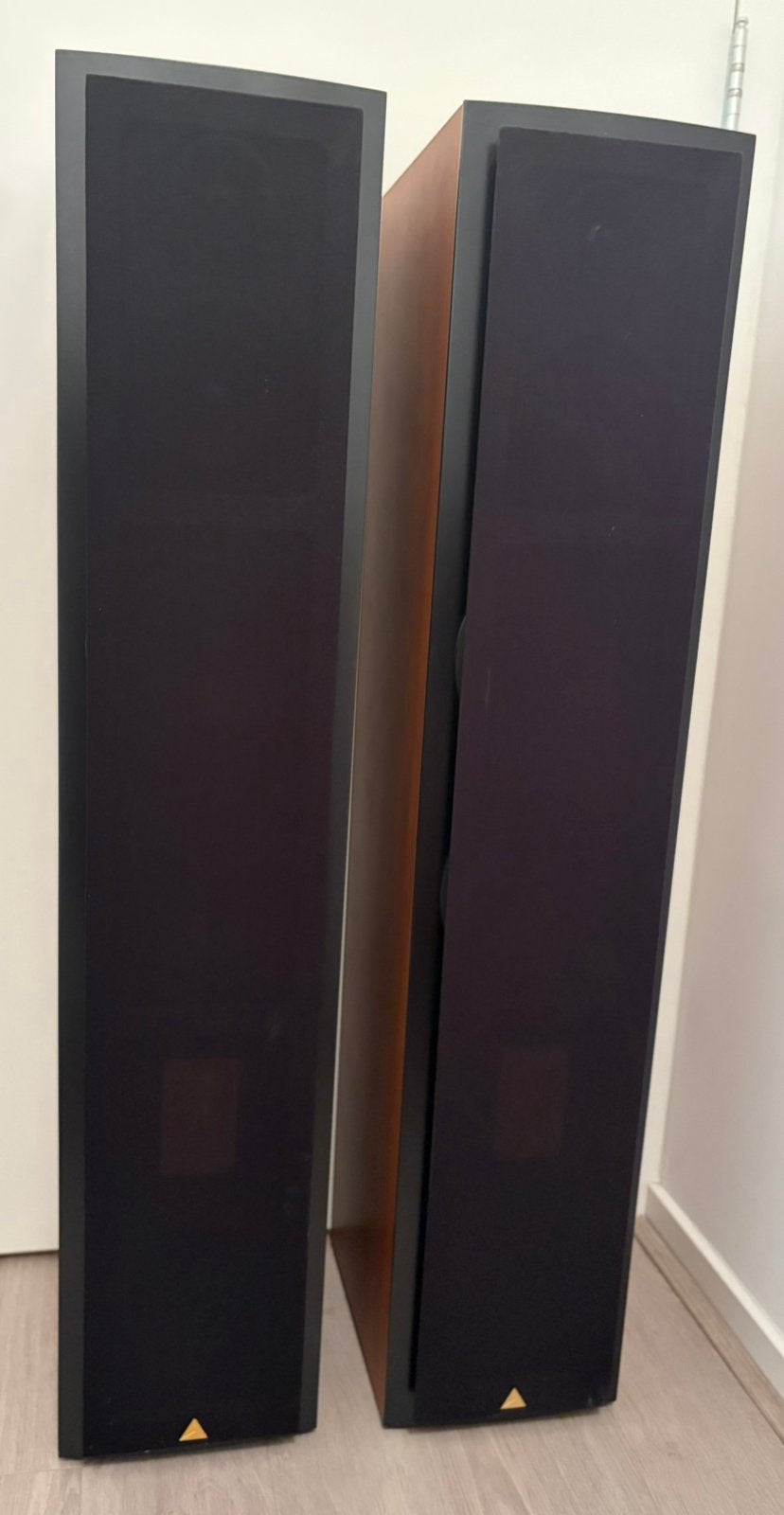 Triangle Antal 202 Floorstanding Speakers, Audio, Tv en Foto, Stereo speakers, Inclusief kabels, Zo goed als nieuw, Ophalen