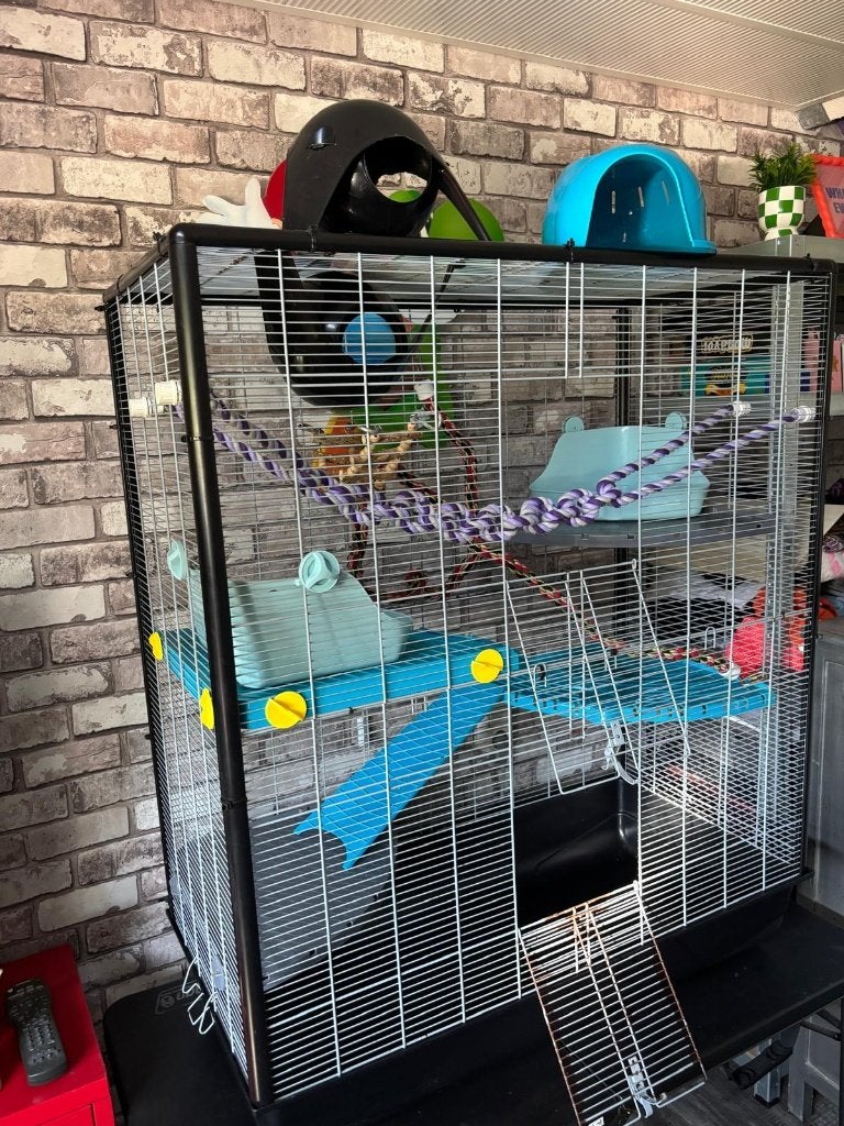 Savic Zeno 3 Empire ratten-/frettenkooi – compleet ingericht, Ophalen, Kooi, Gebruikt, 90 cm of meer