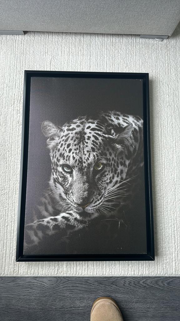 Schilderij luipaard, Huis en Inrichting, Woonaccessoires | Schilderijen, Tekeningen en Foto's, Ophalen of Verzenden, Zo goed als nieuw